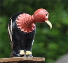 bayerische Geier laden zum Lachen ein bayerische Geier laden zum Lachen ein